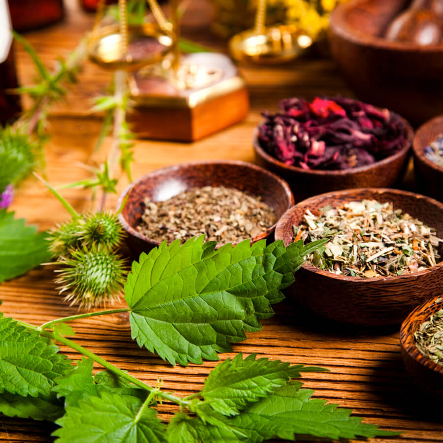 Herbs for ADHD: What the Evidence Says About Each One